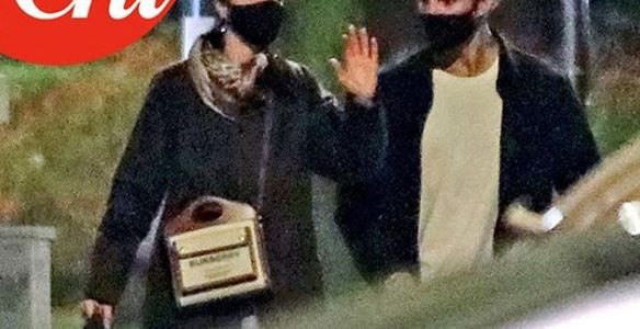 stefano de martino nuova fiamma