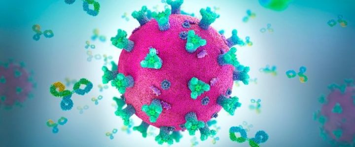Finalmente una buona notizia: questa scoperta ci libererà dal Covid-19?