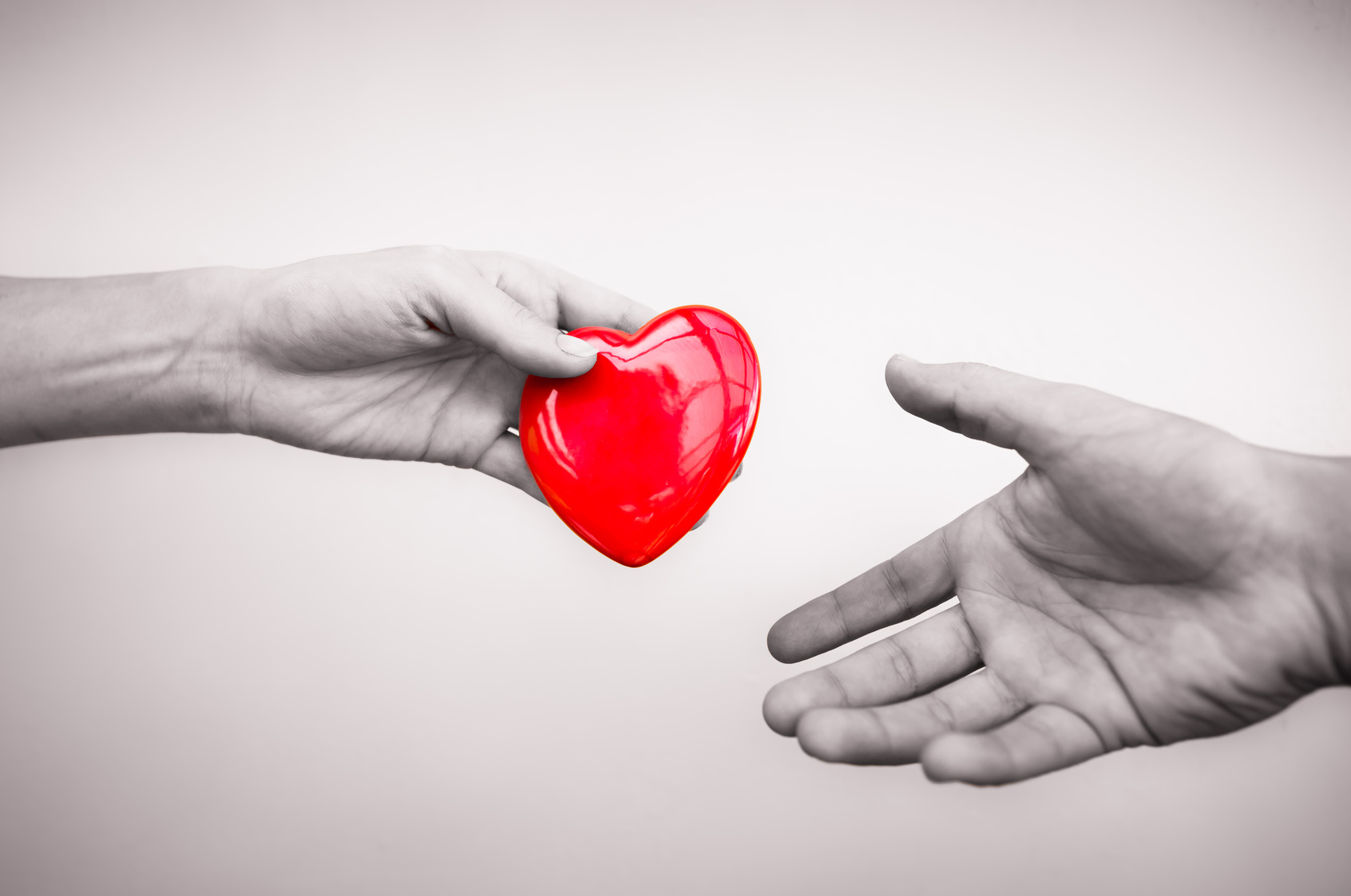 Donare gli organi: informazioni per una scelta consapevole